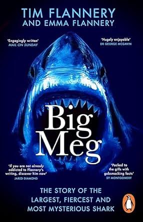 Big Meg: The Story of the Largest and Most Mysterious Predator that Ever Lived by Tim Flannery, Emma Flannery