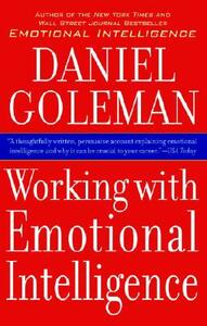 Working with Emotional Intelligence by Daniel Goleman