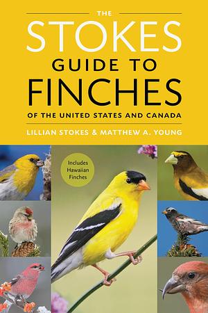 The Stokes Guide to Finches of the United States and Canada by Matthew A. Young, Lillian Q. Stokes