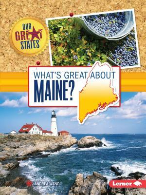 What's Great about Maine? by Andrea Wang