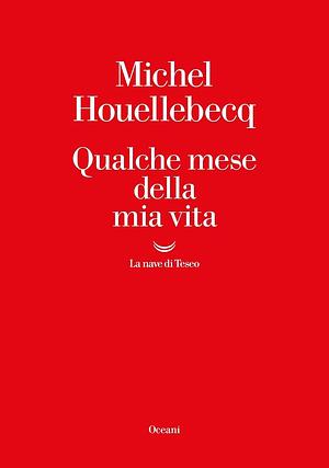 Qualche mese della mia vita by Milena Zemira Ciccimarra, Michel Houellebecq