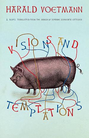 Visions and Temptations by Harald Voetmann