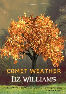 Comet Weather by Liz Williams