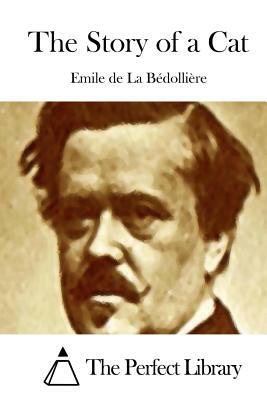 The Story of a Cat by Emile De La Bedolliere