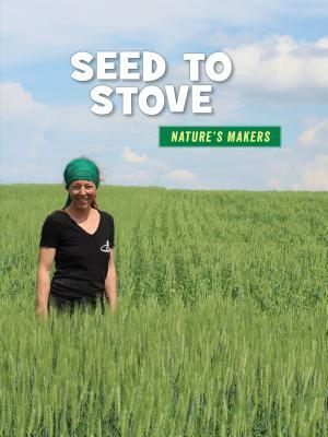 Seed to Stove by Julie Knutson