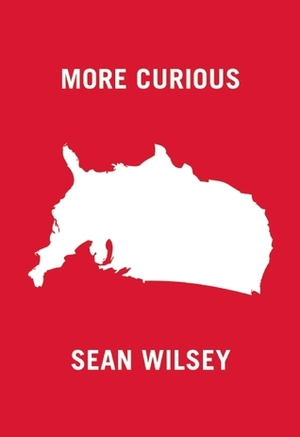 More Curious by Sean Wilsey