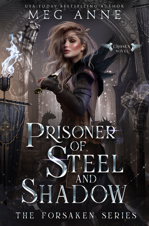 Prisoner of Steel and Shadow by Meg Anne