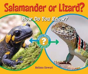 Salamander or Lizard?: How Do You Know? by Melissa Stewart