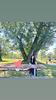 liya_reads's profile picture