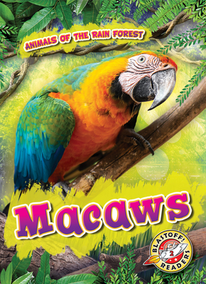 Macaws by Karen Kenney