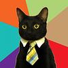 coxcox's profile picture