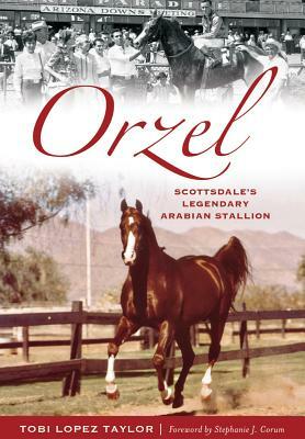 Orzel:: Scottsdale's Legendary Arabian Stallion by Tobi Lopez Taylor