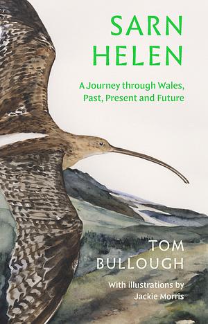 Sarn Helen: A Journey Through Wales, Past, Present and Future by Tom Bullough
