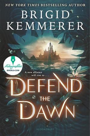 Defend the Dawn by Brigid Kemmerer