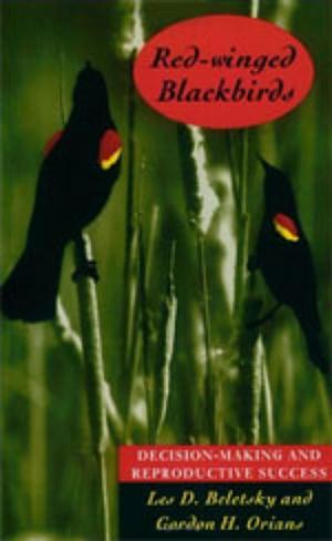 Red-winged Blackbirds: Decision-making and Reproductive Success by Les D. Beletsky, Gordon H. Orians
