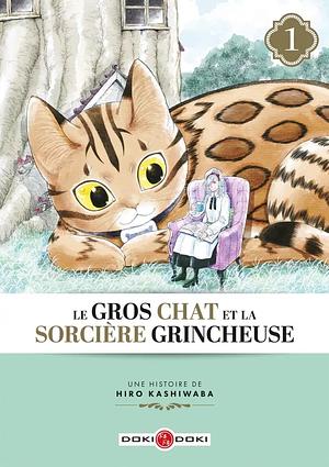 Le Gros chat et la sorcière grincheuse T1 by Hiro Kashiwaba