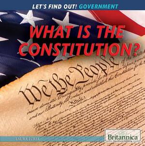 What Is the Constitution? by Jennifer Way