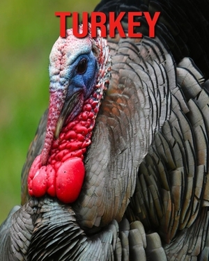 Turkey: Children Book of Fun Facts & Amazing Photos by Lindsey Stewart