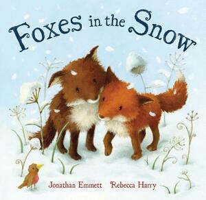 Foxes in the Snow by Jonathan Emmett