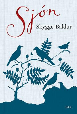 Skygge-Baldur by Sjón