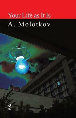 Your Life as It Is by A. Molotkov