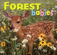 Forest Babies by Aimee Jackson, Kristen McCurry