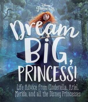 Dream Big, Princess! by Megan McLaughlin, Andrea Posner-Sanchez