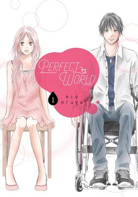 Perfect World, Volume 1 by Rie Aruga