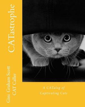 CATastrophe: A CATalog of Captivating Cats and More Cats by Gini Graham Scott