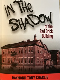 In The Shadow of the Red Brick Building by Raymond Tony Charlie