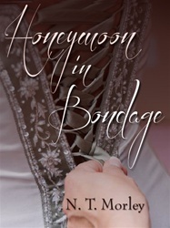 Honeymoon in Bondage by N.T. Morley