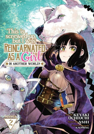 This Is Screwed Up, But I Was Reincarnated As a GIRL in Another World! (Manga) Vol. 2 by Ashi
