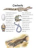 100 Things You Should Know about Reptiles &amp; Amphibians by Ann Kay