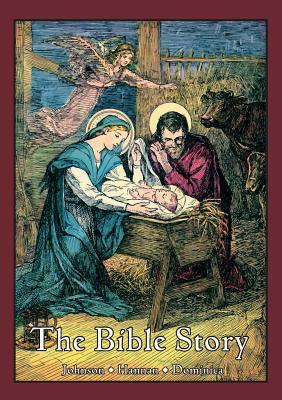 The Bible Story: A Textbook in Biographical Form for Use of the Lower Grades of Catholic Schools by Sister Mary Dominica, George Johnson, Jerome D. Hannan