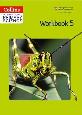 Collins International Primary Science - Workbook 5 by Karen Morrison, Daphne Paizee, Phillipa Allum
