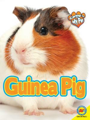 Guinea Pig by Jill Foran