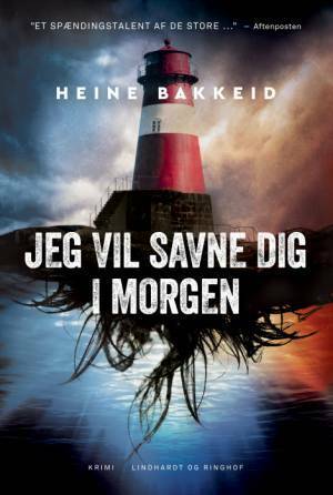 Jeg vil savne dig i morgen by Heine Bakkeid