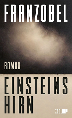 Einsteins Hirn by Franzobel