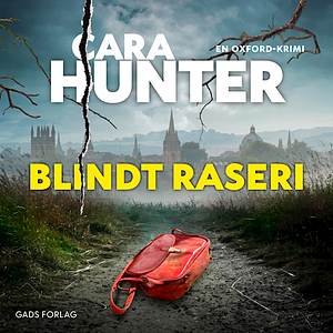 Blindt raseri by Cara Hunter