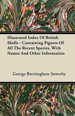 Illustrated Index Of British Shells - Containing Figures Of All The Recent Species, With Names And Other Information by George Brettingham Sowerby