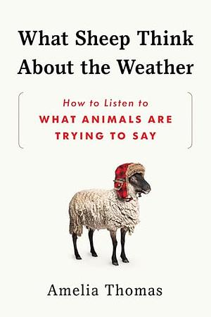 What Sheep Think About the Weather: How to Listen to What Animals Are Trying to Say by Amelia Thomas