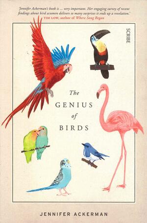 The Genius of Birds by Jennifer Ackerman