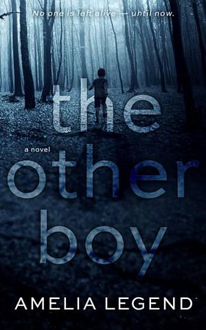 The Other Boy by Amelia Legend, Amelia Legend