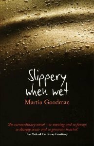 Slippery When Wet by Martin Goodman