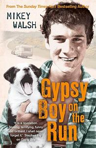 Gypsy Boy On The Run by Mikey Walsh