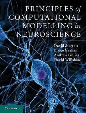 Principles of Computational Modelling in Neuroscience by Bruce Graham, Andrew Gillies, David Sterratt