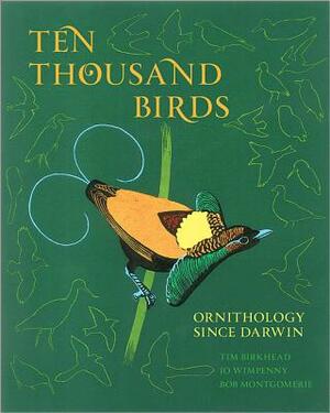 Ten Thousand Birds: Ornithology Since Darwin by Tim Birkhead, Bob Montgomerie, Jo Wimpenny