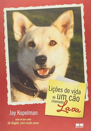 Lições de Vida de um Cão Chamado Lava by Jay Kopelman