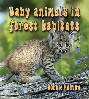 Baby Animals in Forest Habitats by Bobbie Kalman