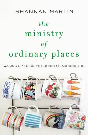 The Ministry of Ordinary Places: Waking Up to God's Goodness Around You by Shannan Martin